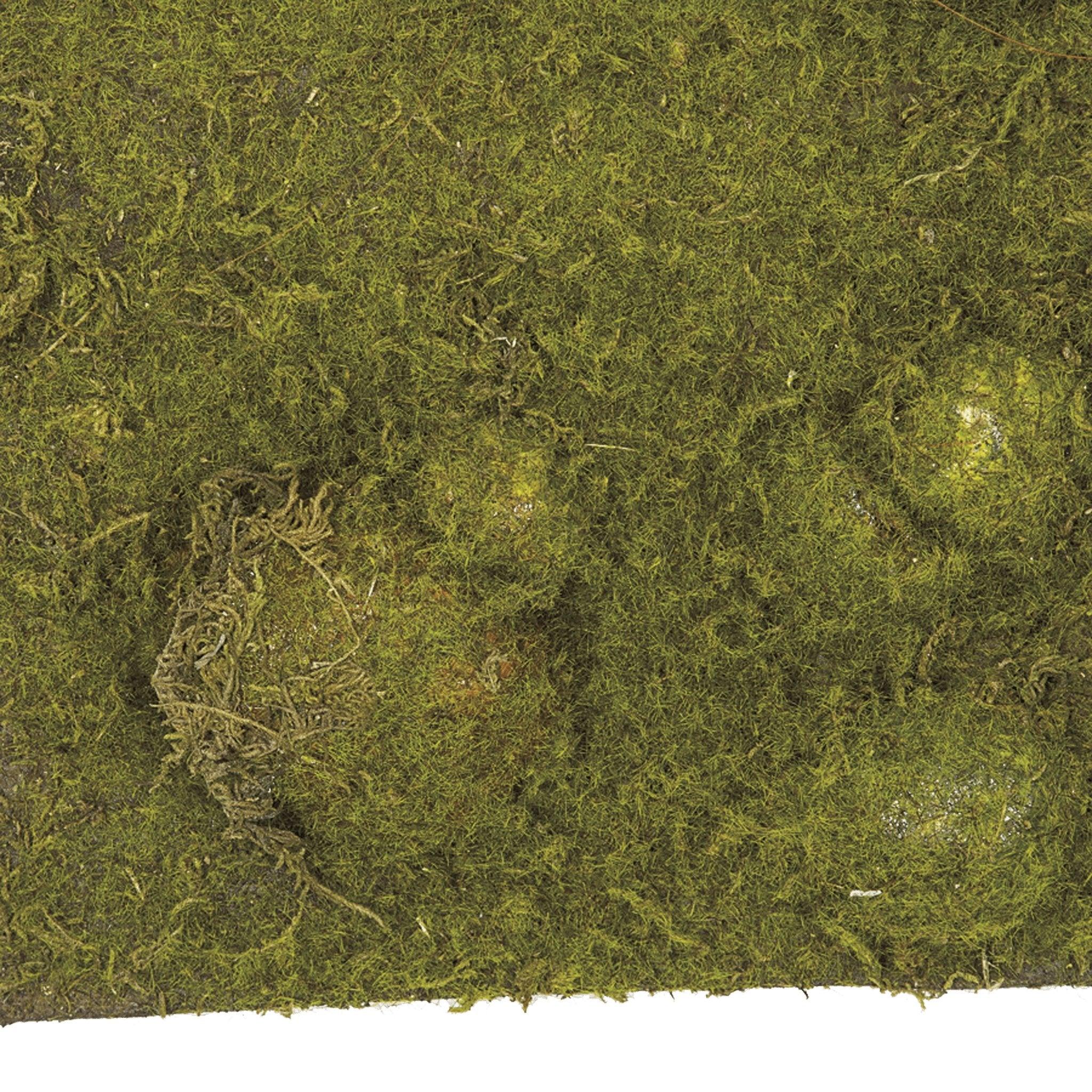 Moss Mat (Thick Green/Brown)